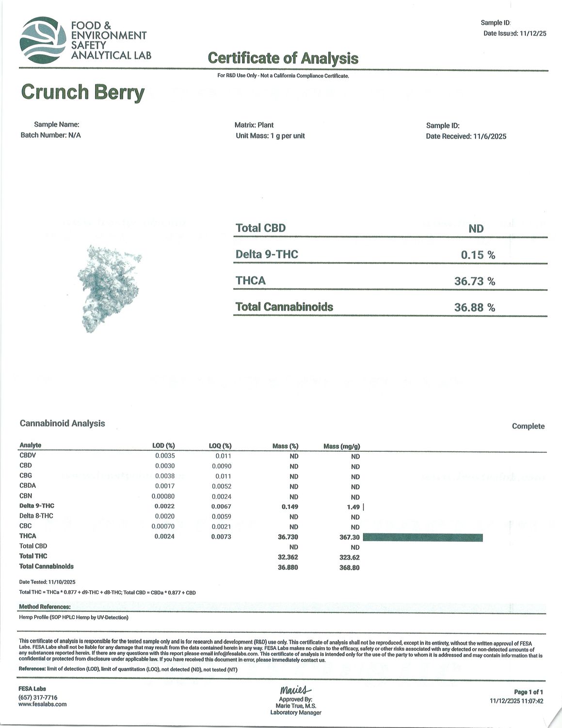Flower- Crunch Berry