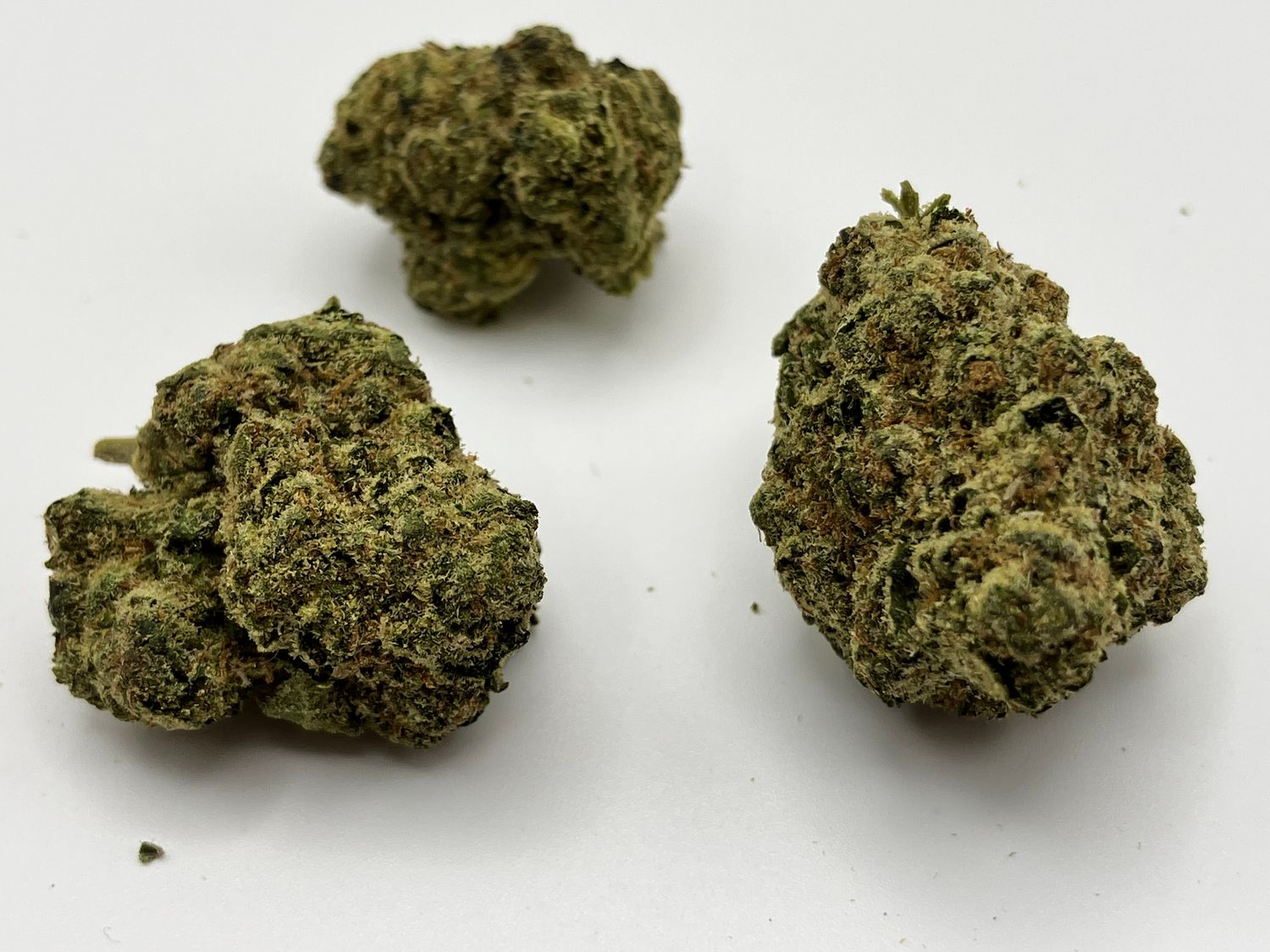Flower- Jack Herer
