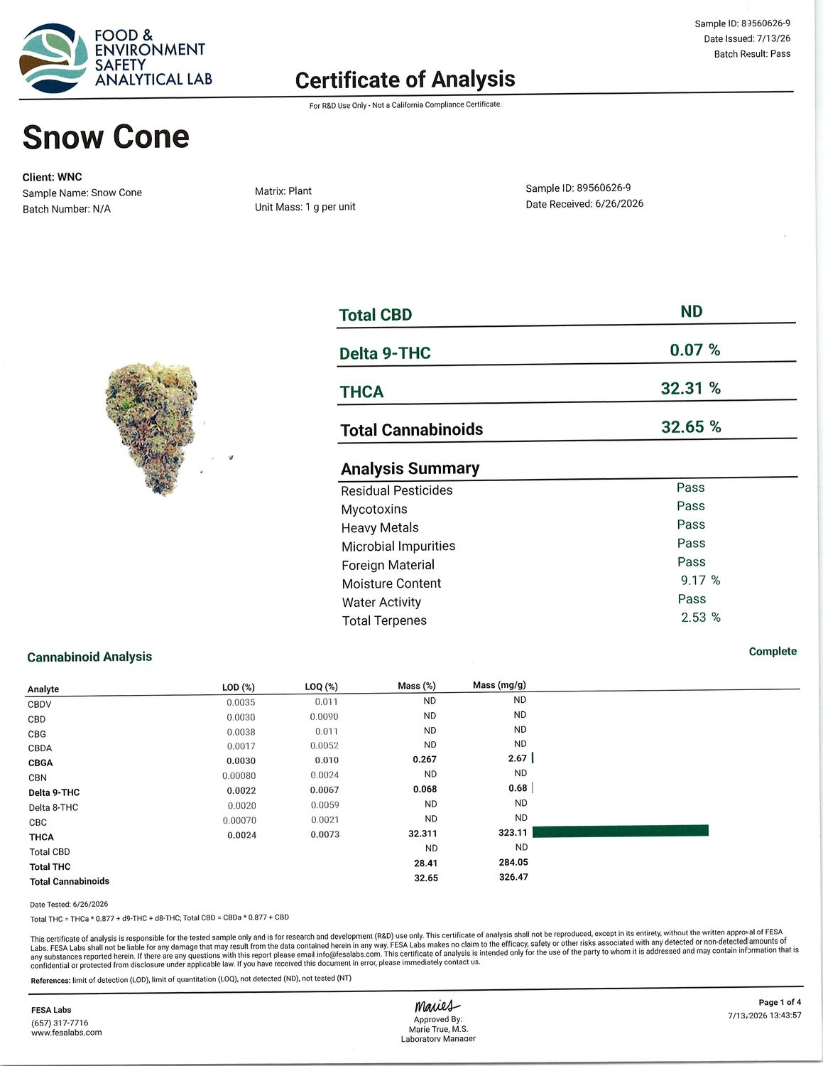 Flower- Snow Cone