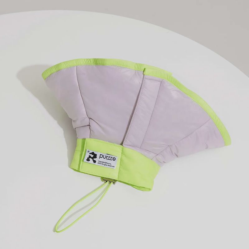 R³ Elizabethan Collar