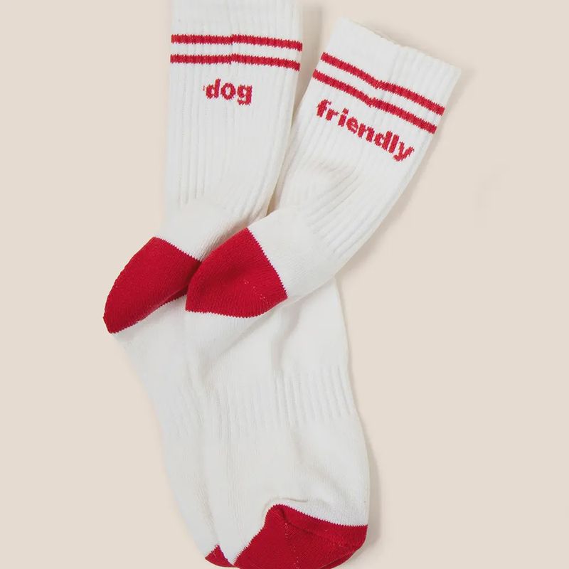 Dog Friendly Sock