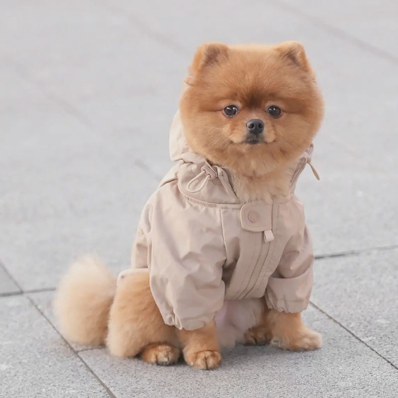 Brooklyn Coat - Camel