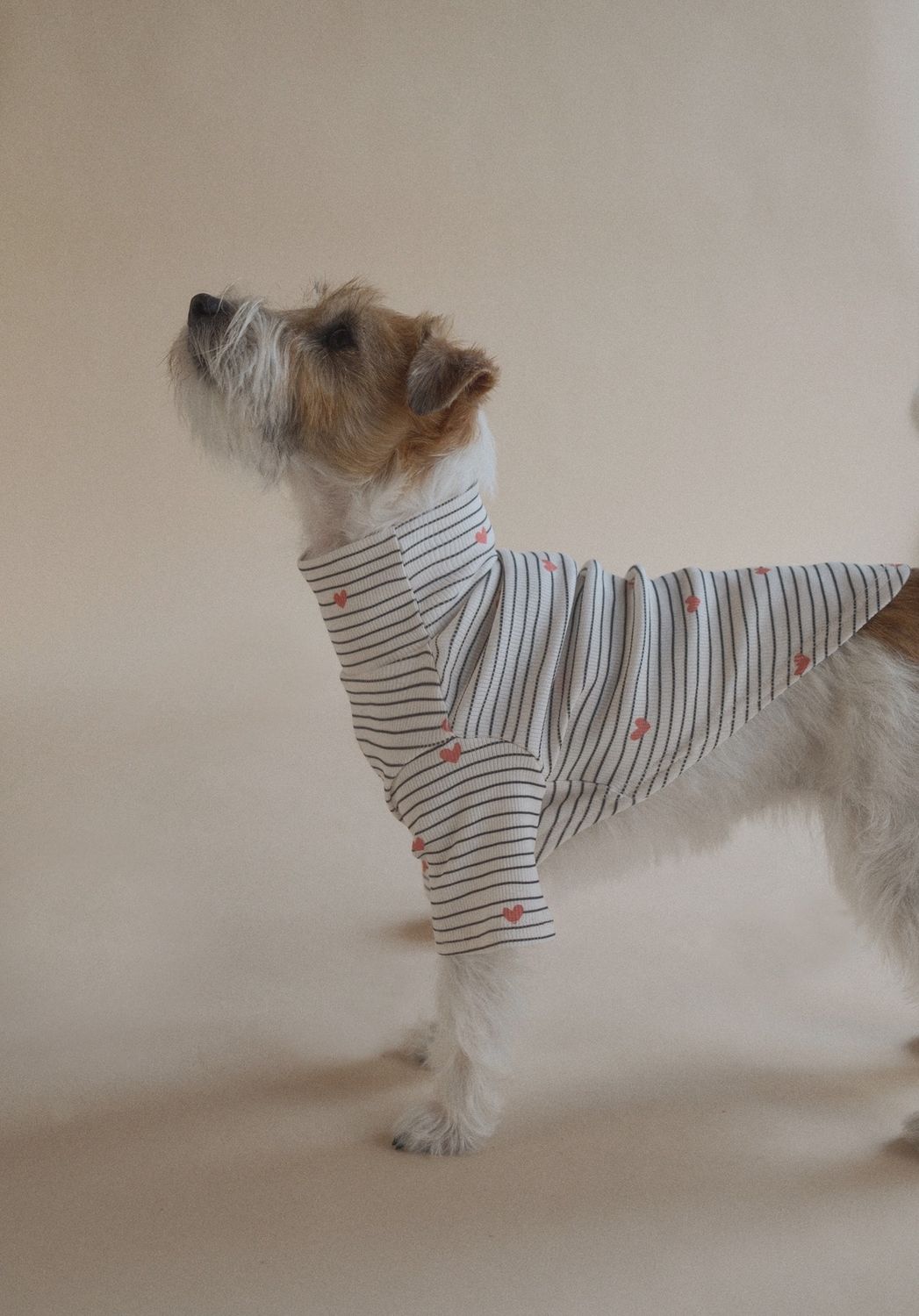 Aveline Ribbed Long Sleeve Dog Shirt