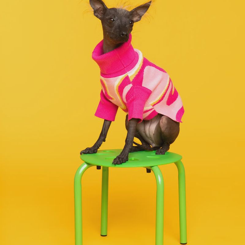 Pink Lemonade Pet Sweater
