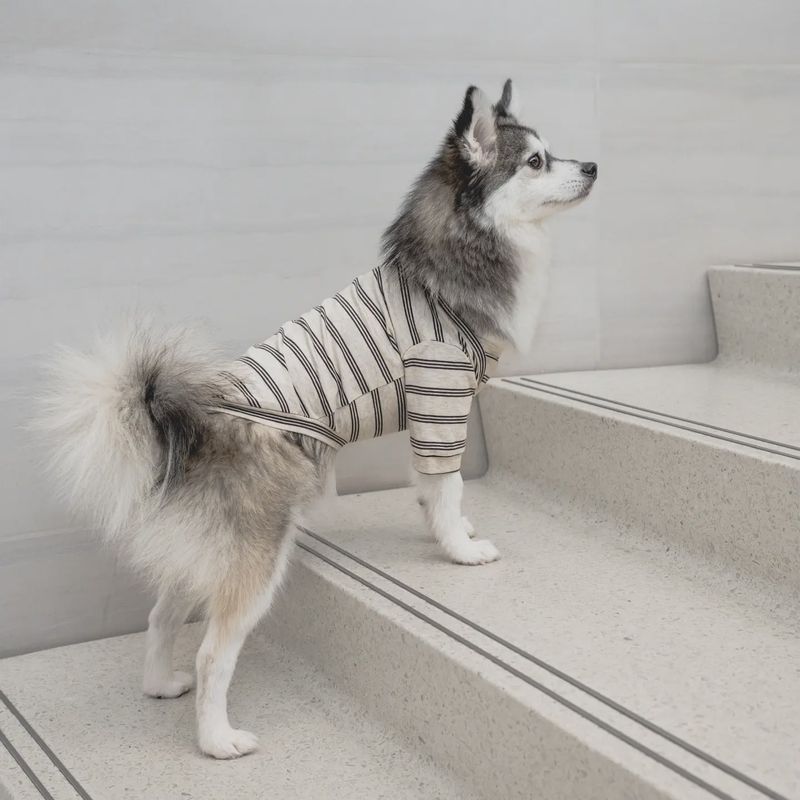 Chelsea Dog Tee - Earth