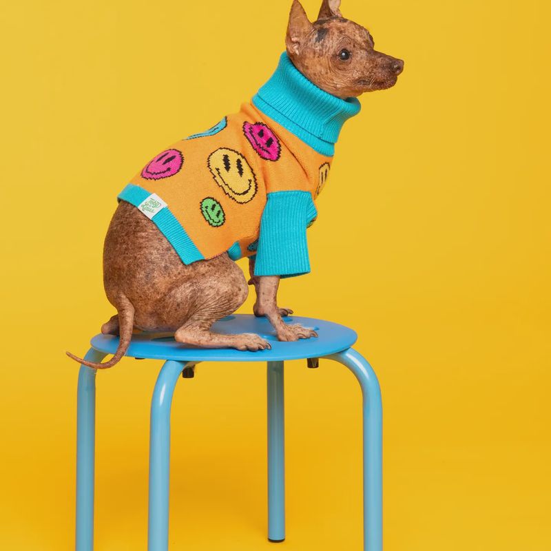 How Are You Feeling? Pet Sweater