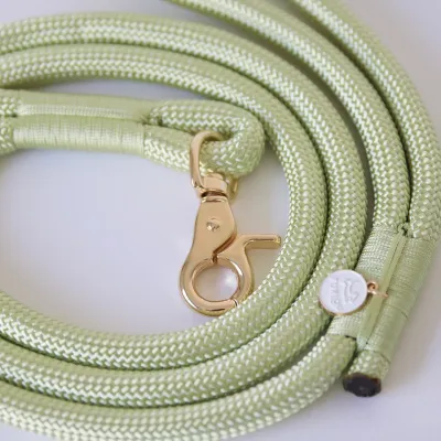 Leashes &amp; Harnesses