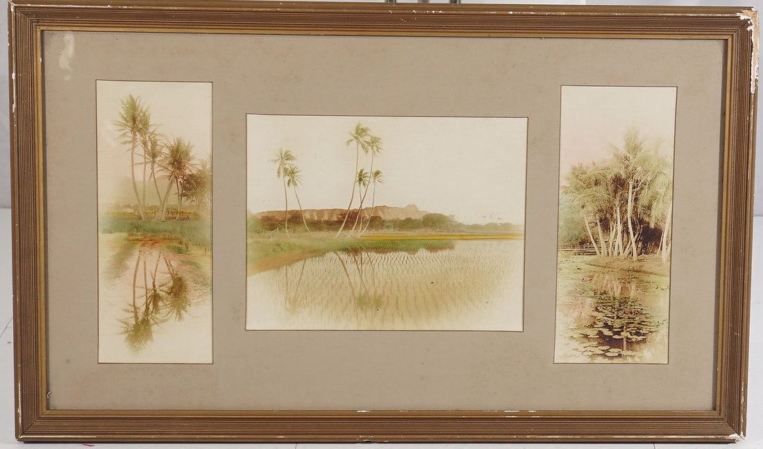 Old Framed Hawaii Prints