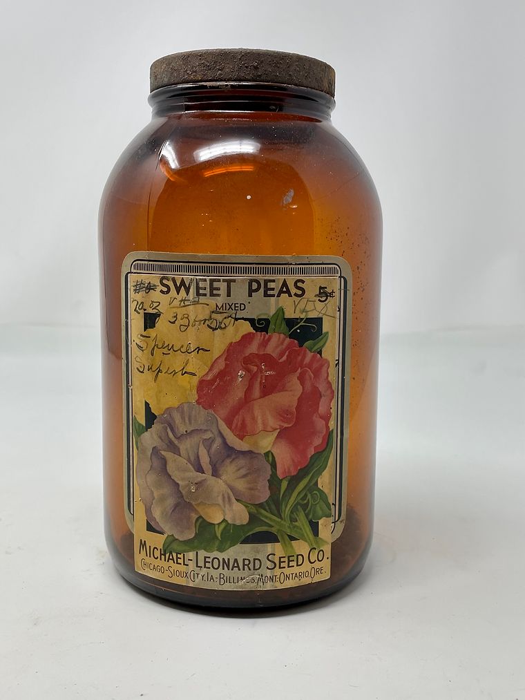 Vintage Michael-Leonard Seed Co Jar with Lid - Cabbage 4.25&quot; x 8&quot; Early Winnin
