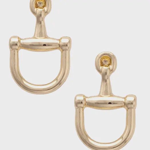 Horse bit Earrings