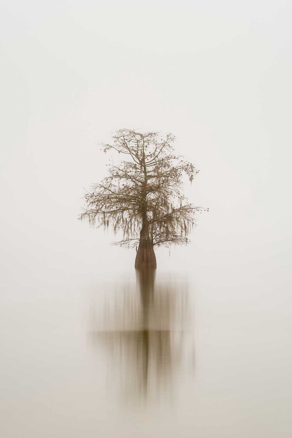 Isolated I