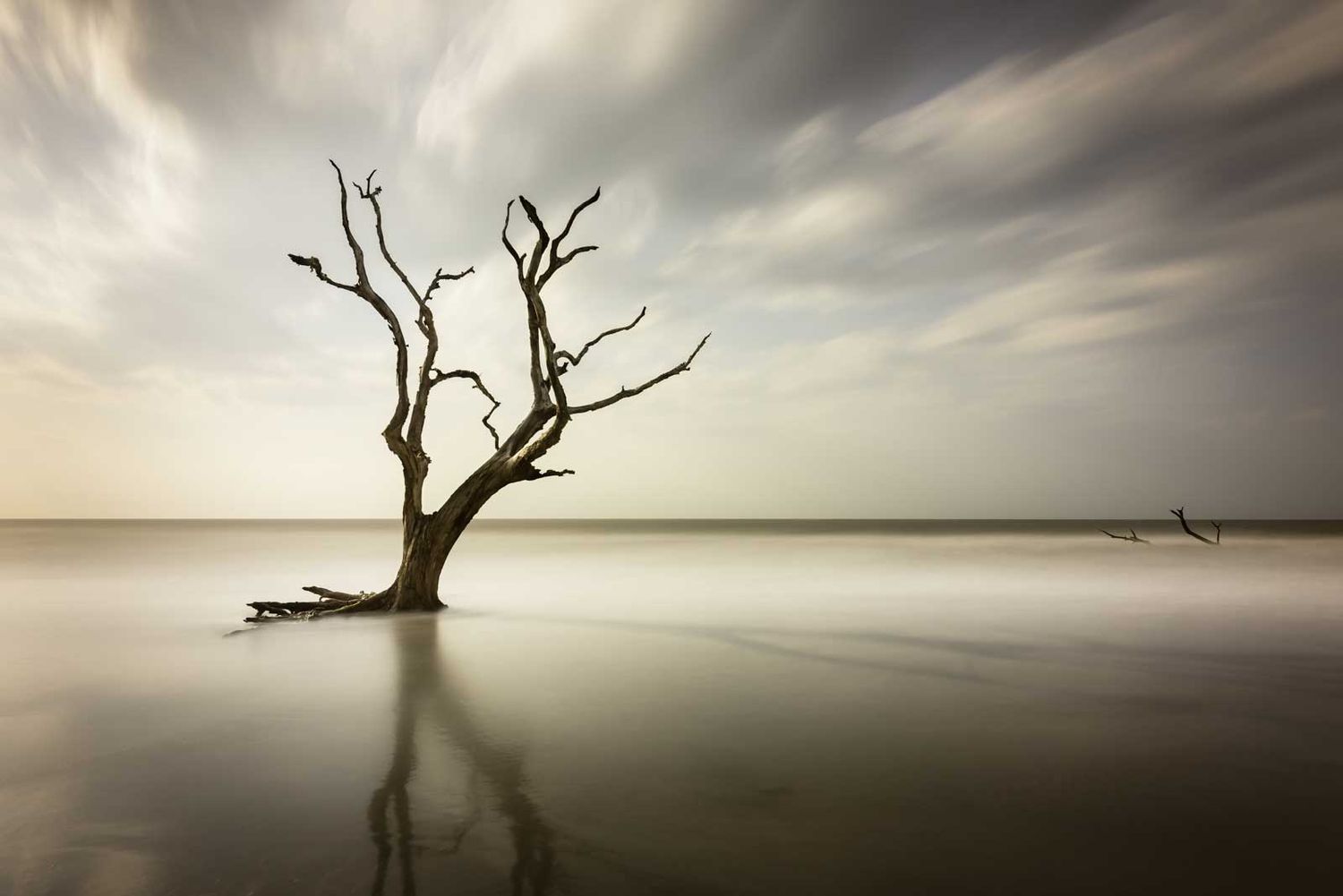 Still Standing