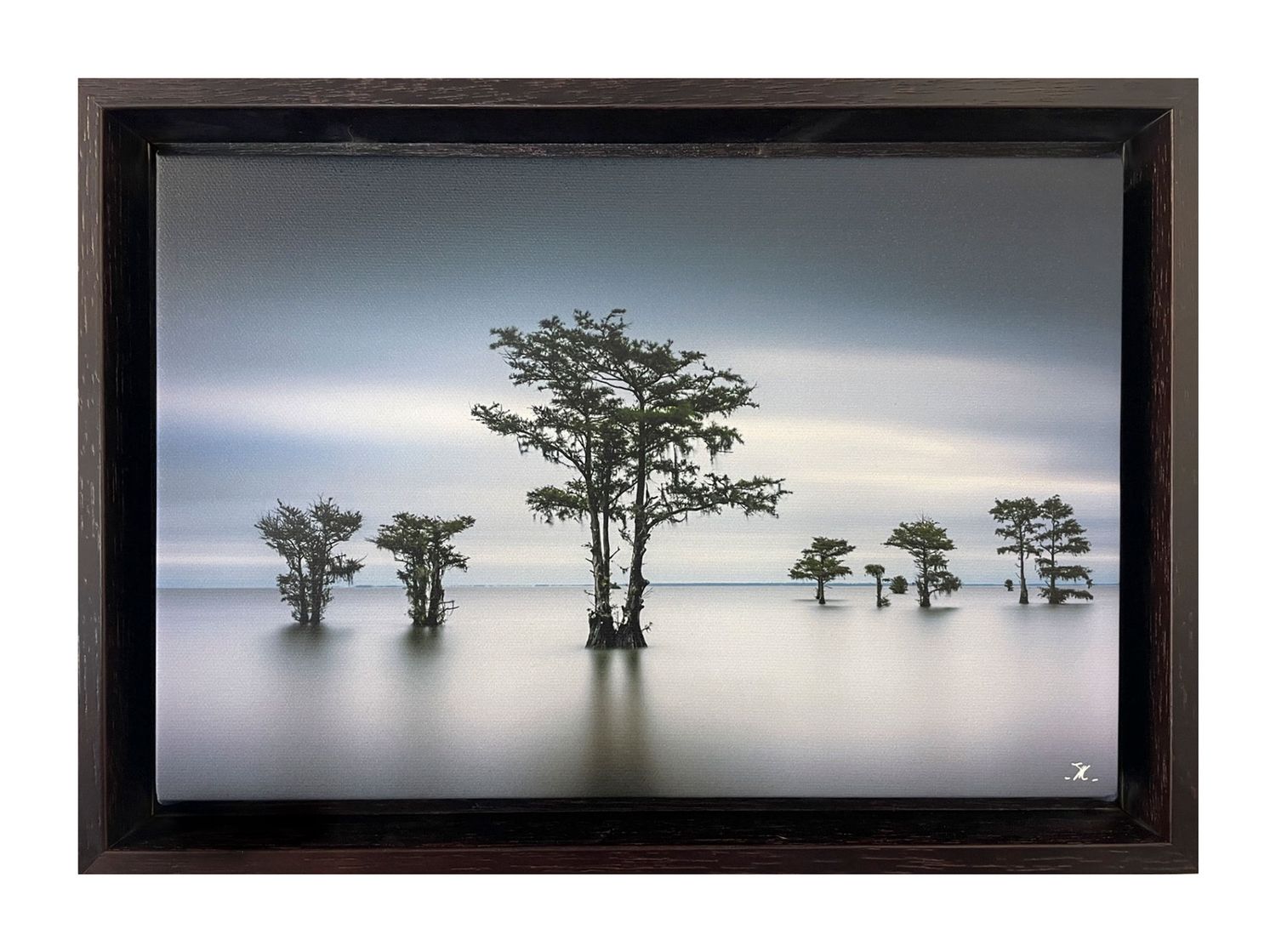 Summer Cypress I
