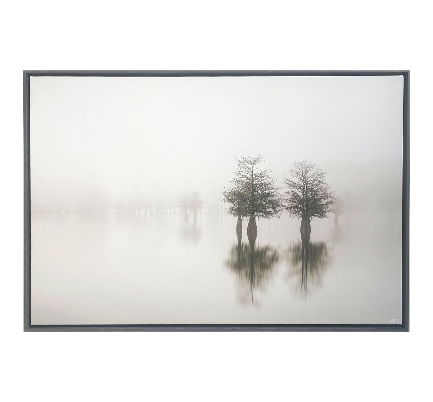 Isolated III 36x24