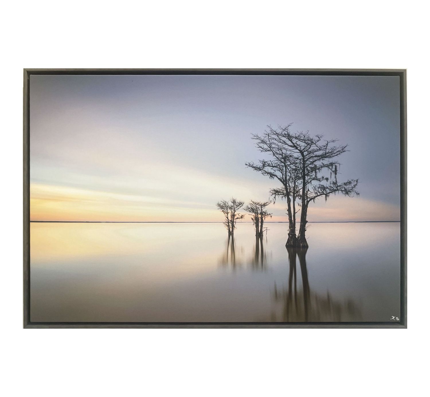 Winter Cypress VI 36x24