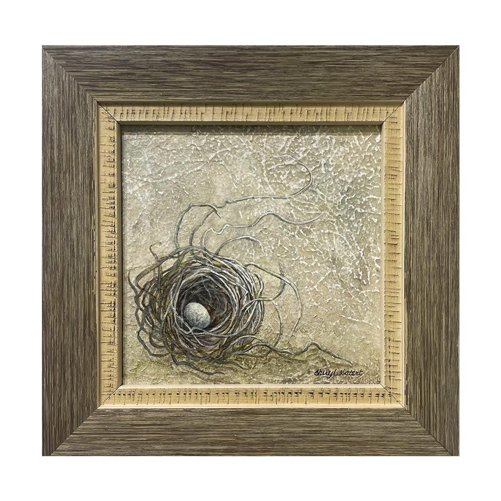 Small Nest in Carolina Sunlight