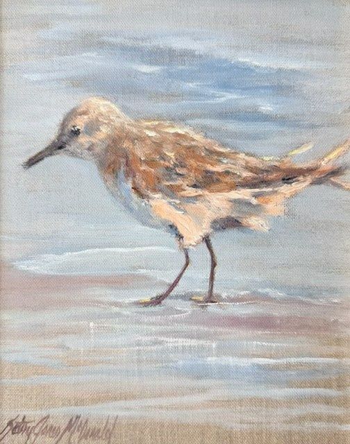 Sanderling 1