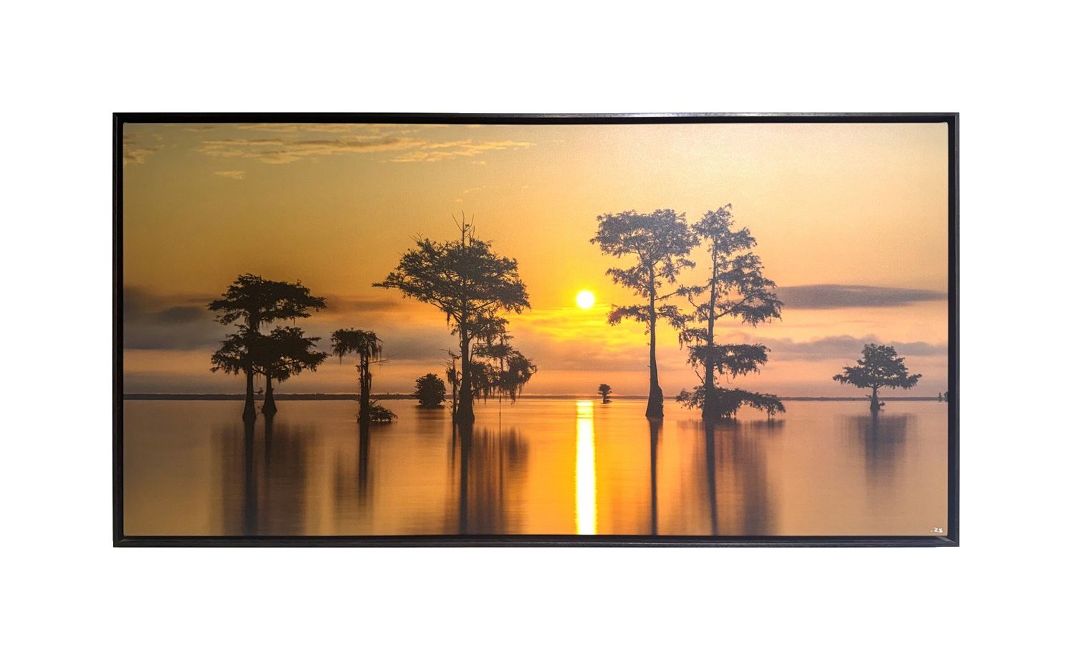 Cypress Sunrise