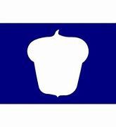 Treasurer