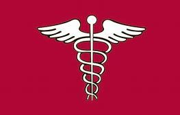 Surgeon