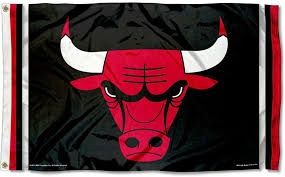 Chicago Bulls