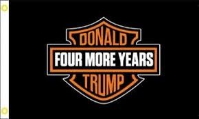 Halrey Davidson Trump Flag