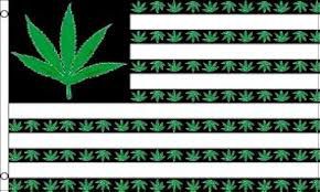 United States with Leaf