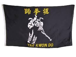 Tae Kwon Do