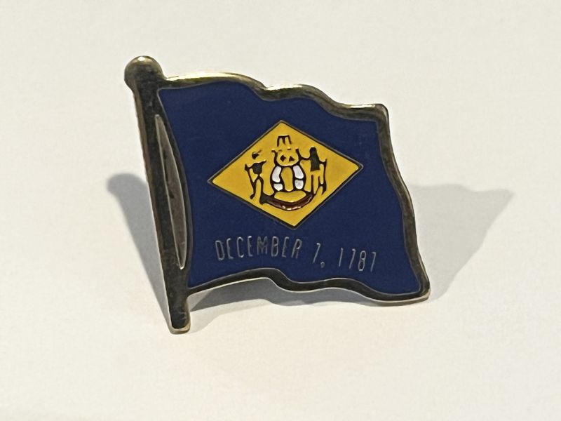 Delaware Pin