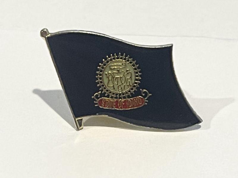 Idaho Pin