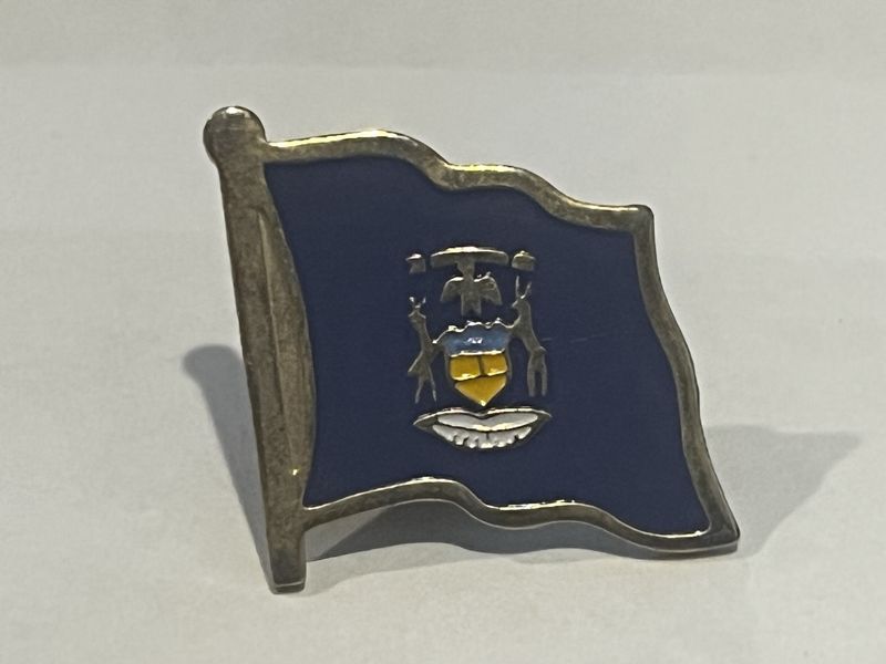 Michigan Pin