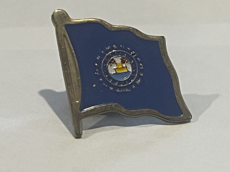 Nevada Pin