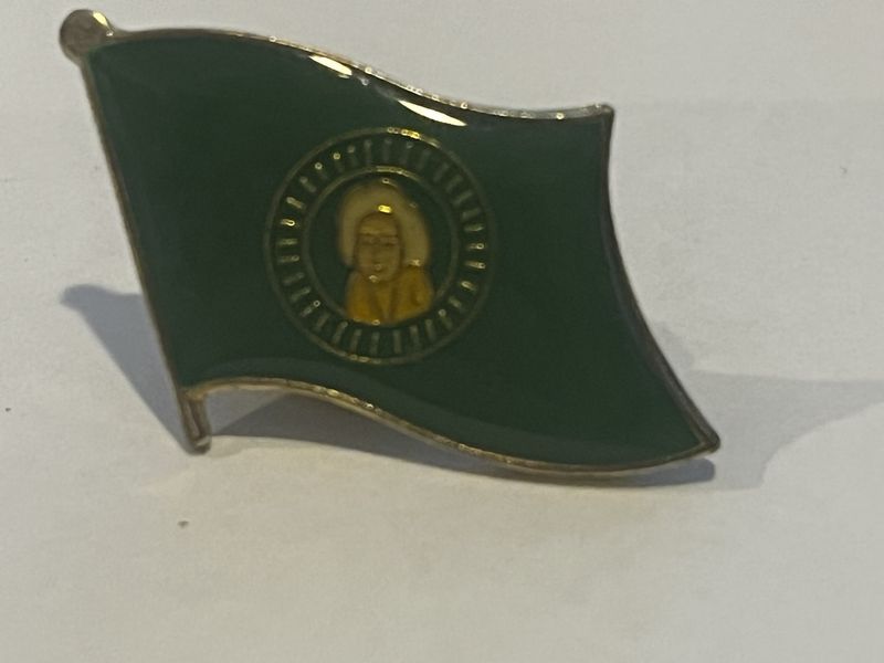 Washington Pin