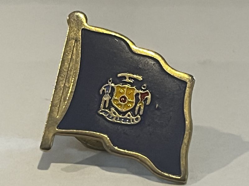 Wisconsin Pin