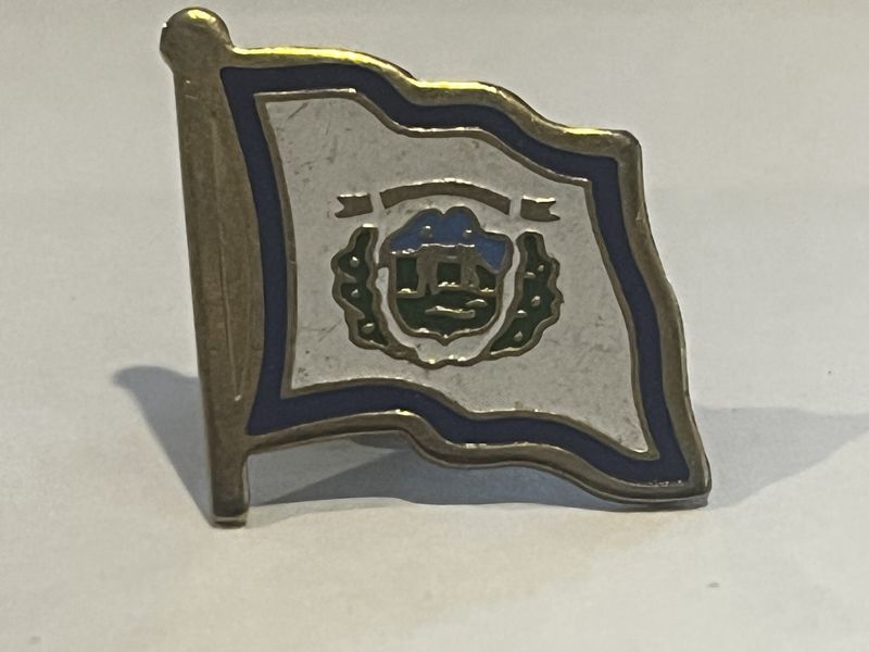 West Virginia Pin