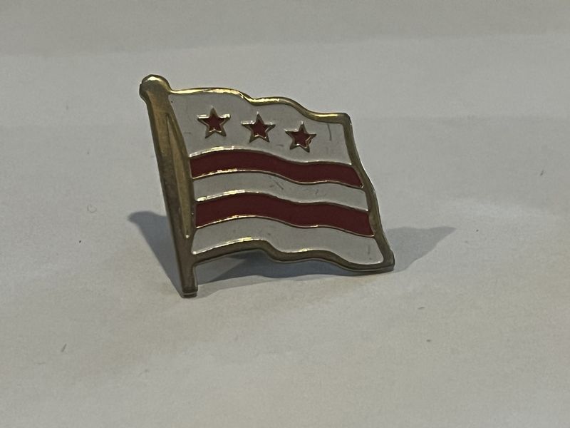 District of Columbia Pin