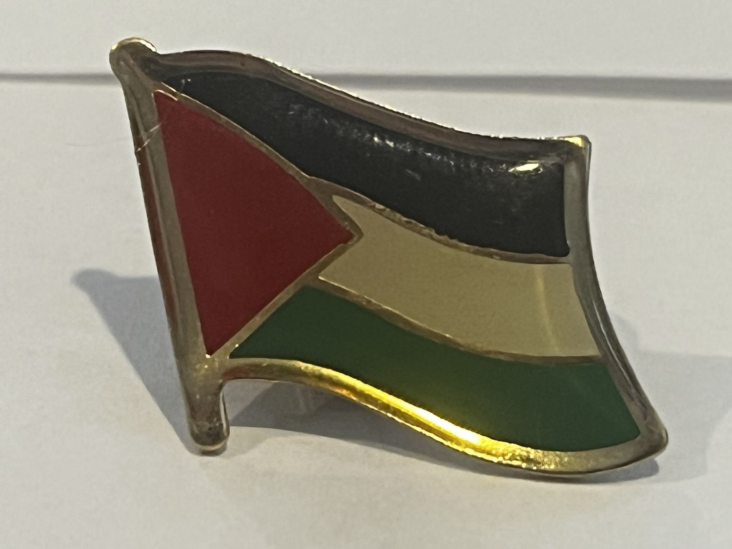 Palestine Pin