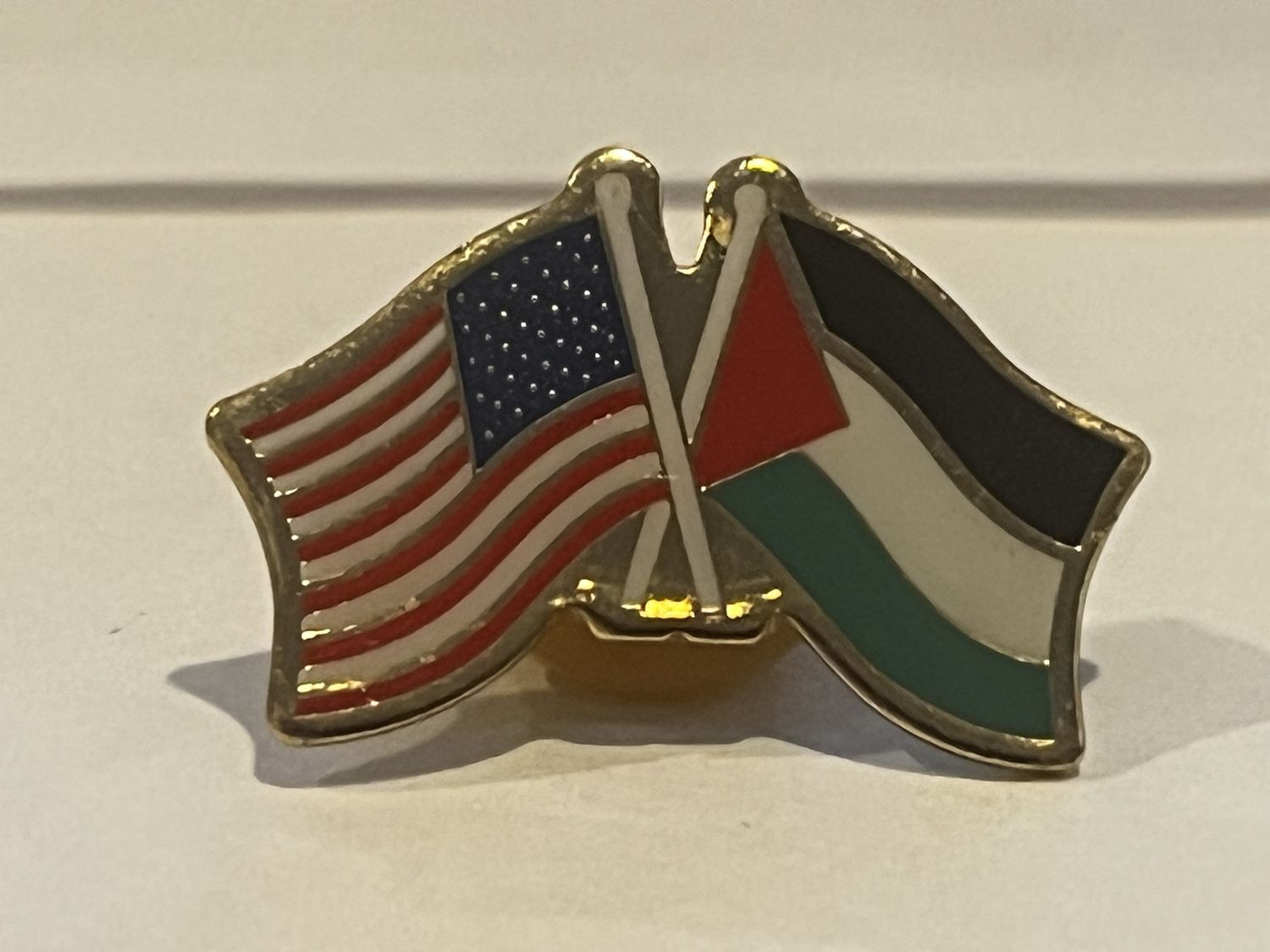 Palestine / United States Pin