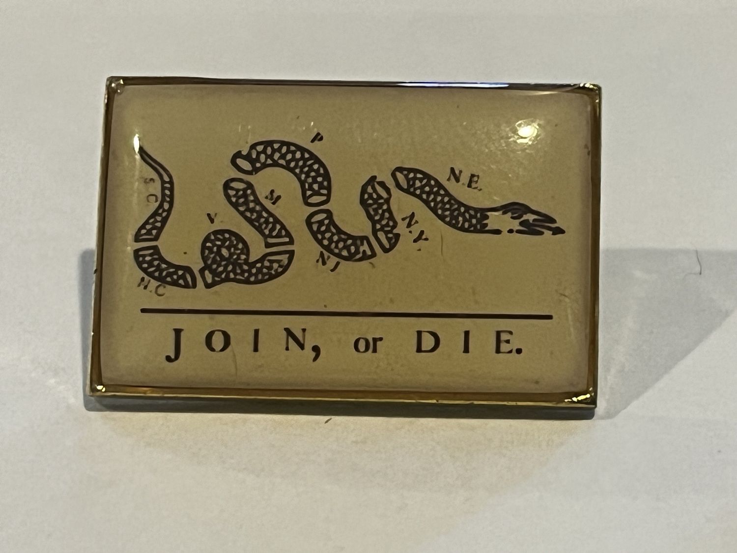 Join or Die Pin