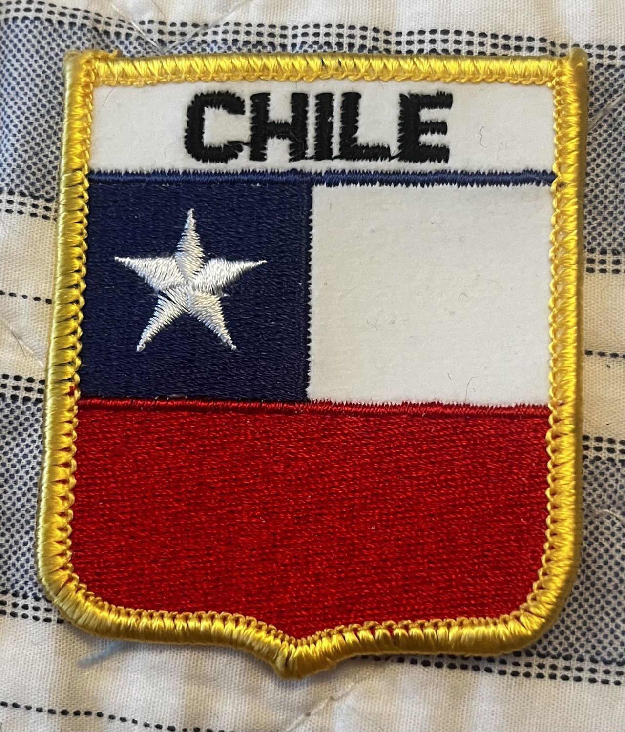 Chili Shield Patch