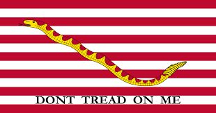1st Navy Jack Nylon
