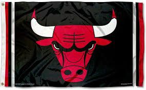 Chicago Bulls