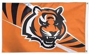 Cincinnati Bengals, Size: 3x5'