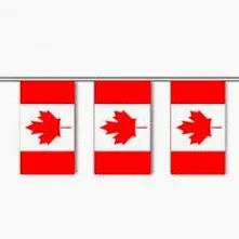 Canada Pennant 60'