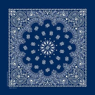 NT4402 BANDANA PAISLEY NAVY
