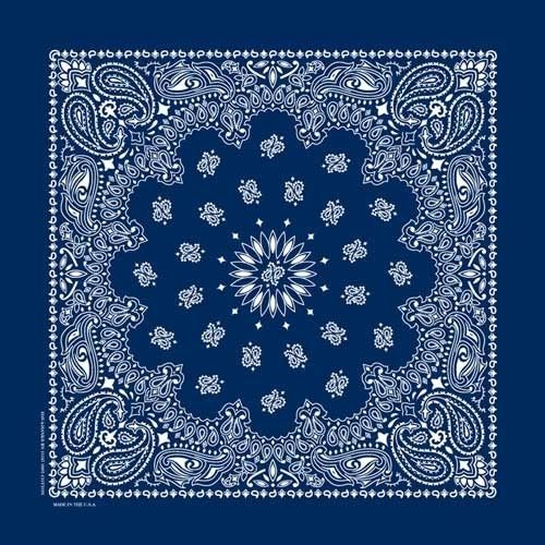 NT4402 BANDANA PAISLEY NAVY