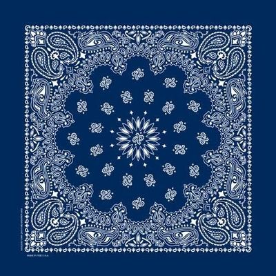 NT4402 BANDANA PAISLEY NAVY