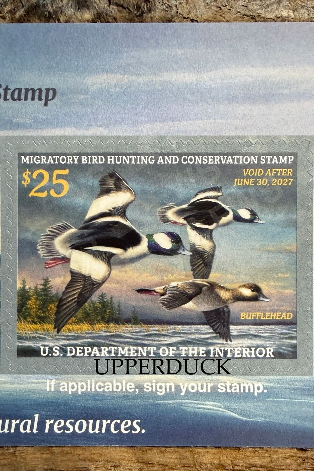 2026-2027 Federal Duck Stamp