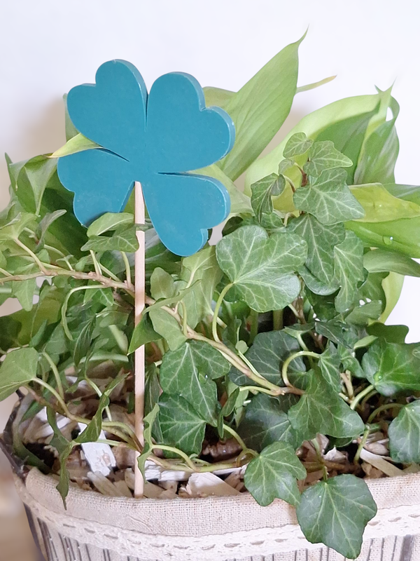 Blumen Dekoration Vierblättriges Kleeblatt