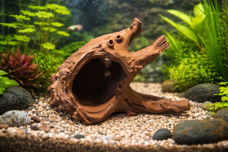 Aquarium Dekoration Baumwurzel